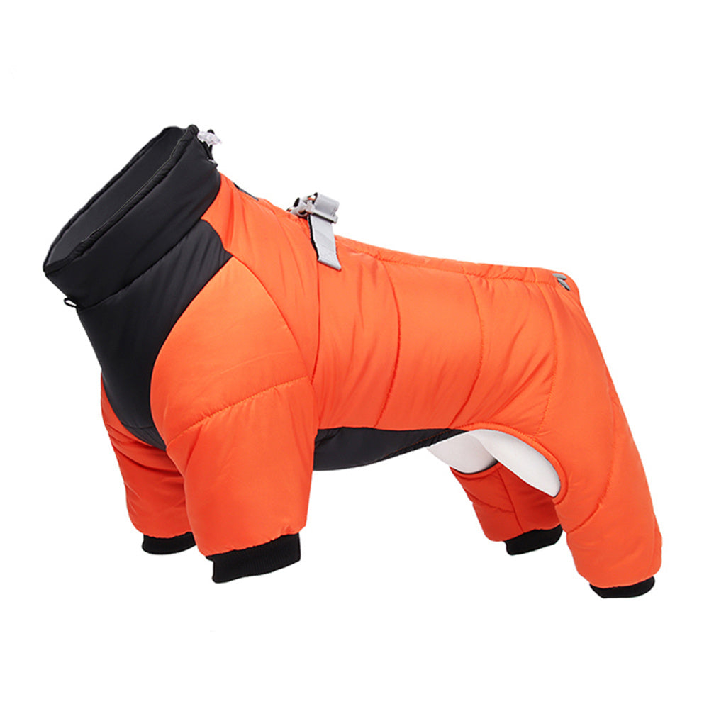 Winter Dog Clothes