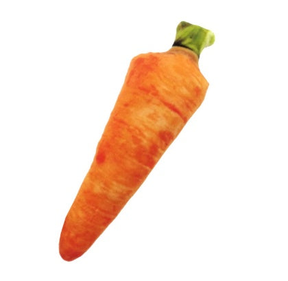 Anti Bite Dog Toys