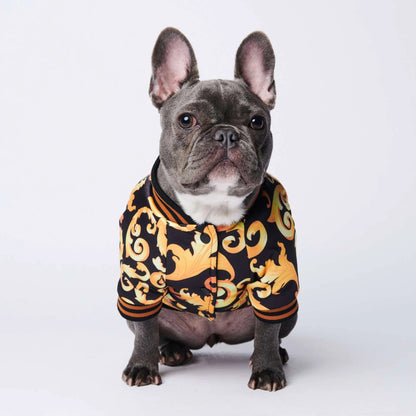 dog coat
