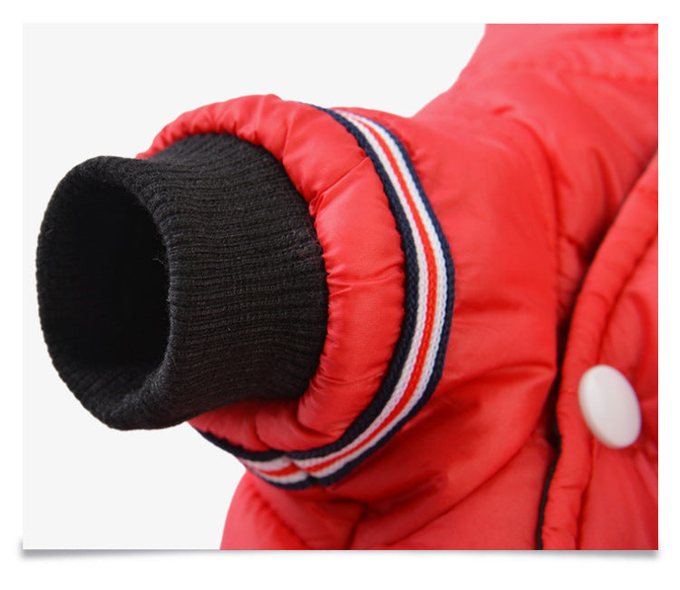 Dog clothes