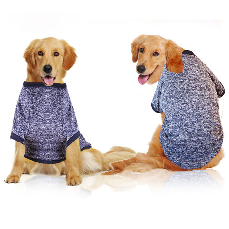 clothes for dog