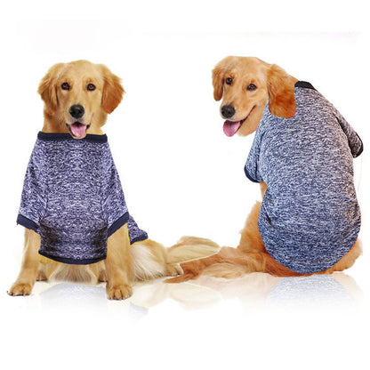 clothes for dog