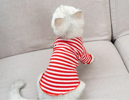 Dog clothes