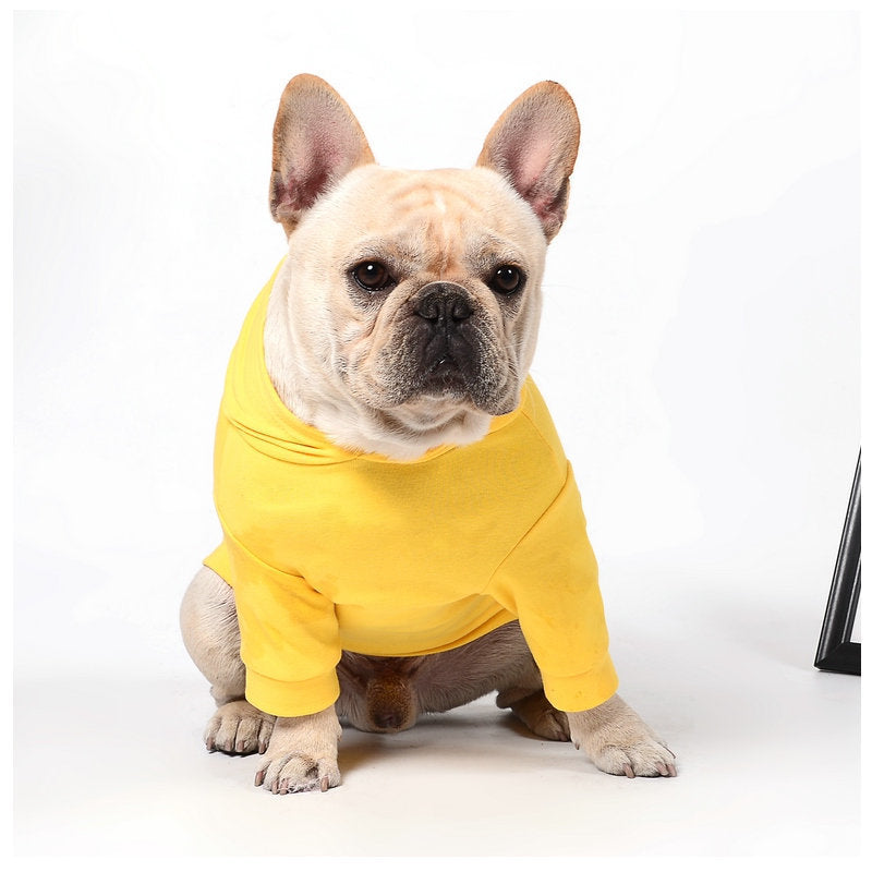 dog clothes