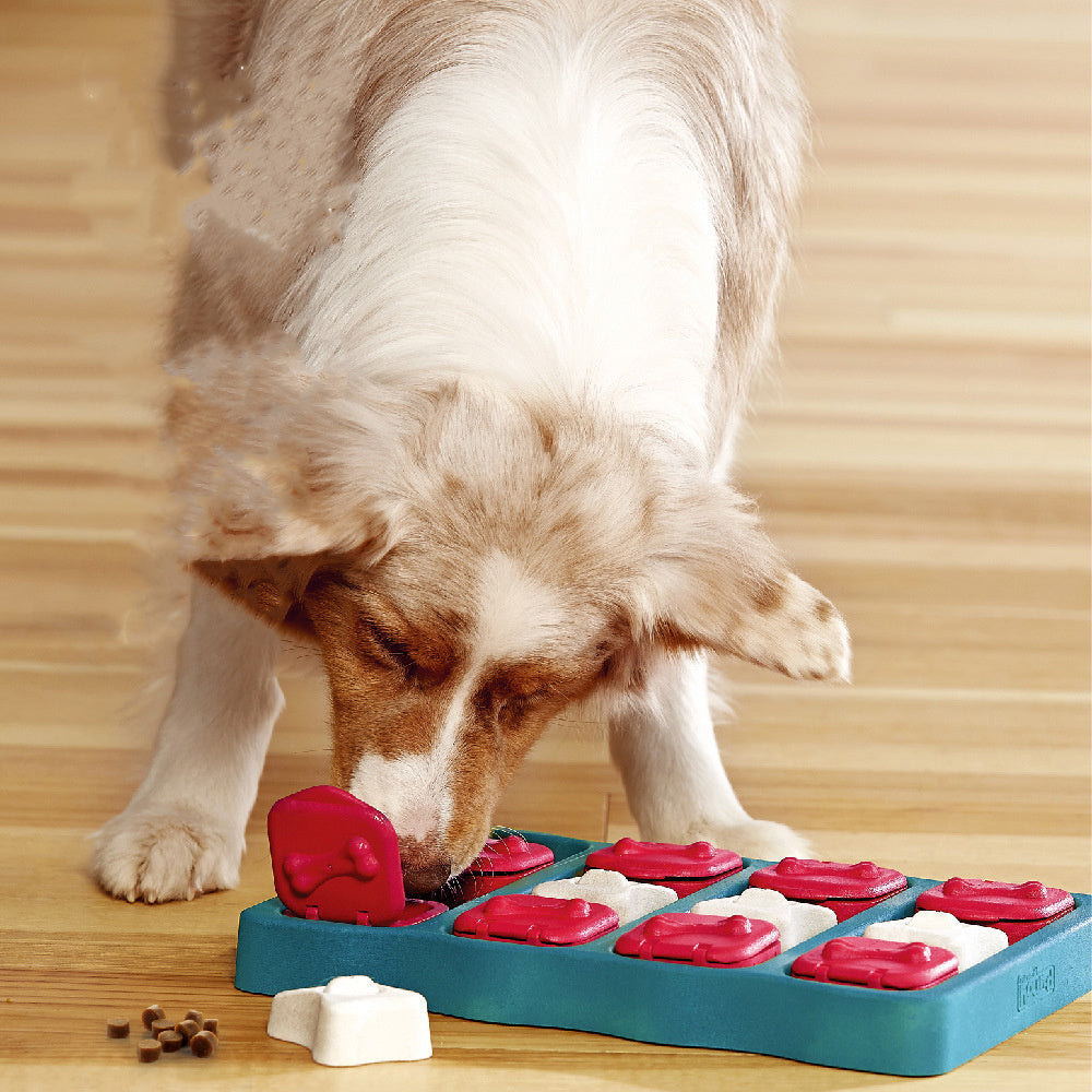Dog toy