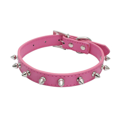 Dog Leash