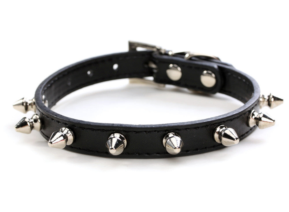 Dog Leash