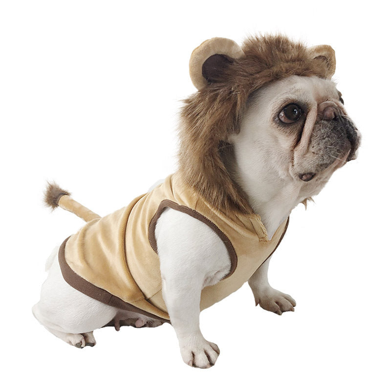 Dog Lion Clothes