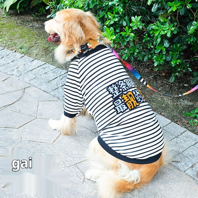 Dog Clothes
