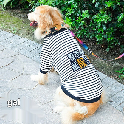 Dog Clothes