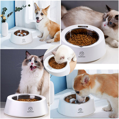 Dog Food Bowl