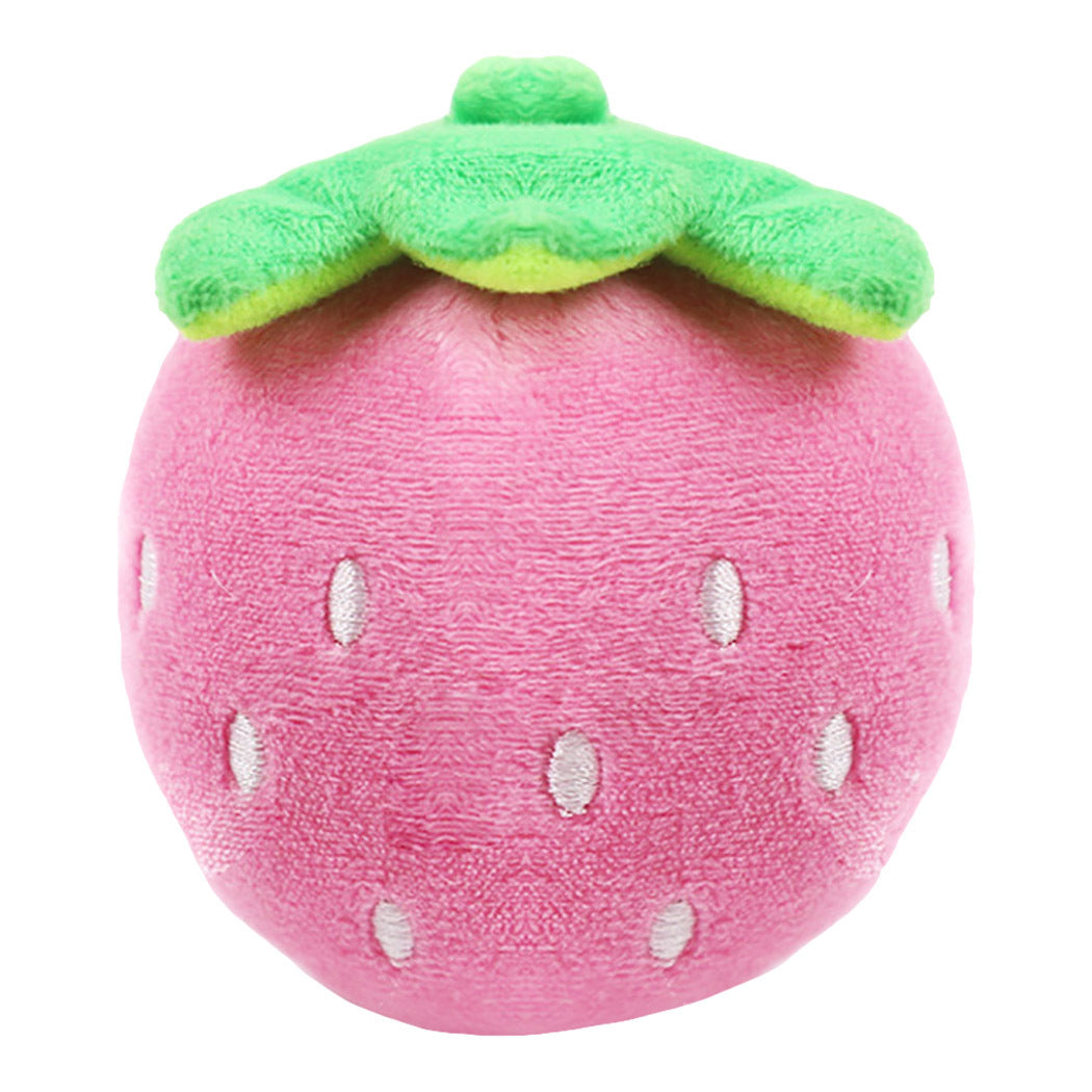 dog toy