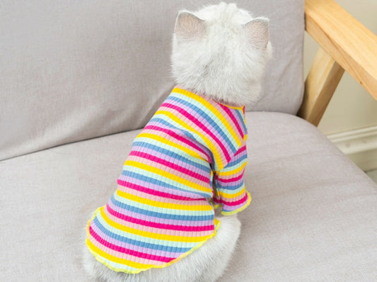 Dog clothes