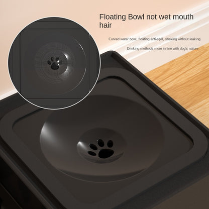Dog Bowl