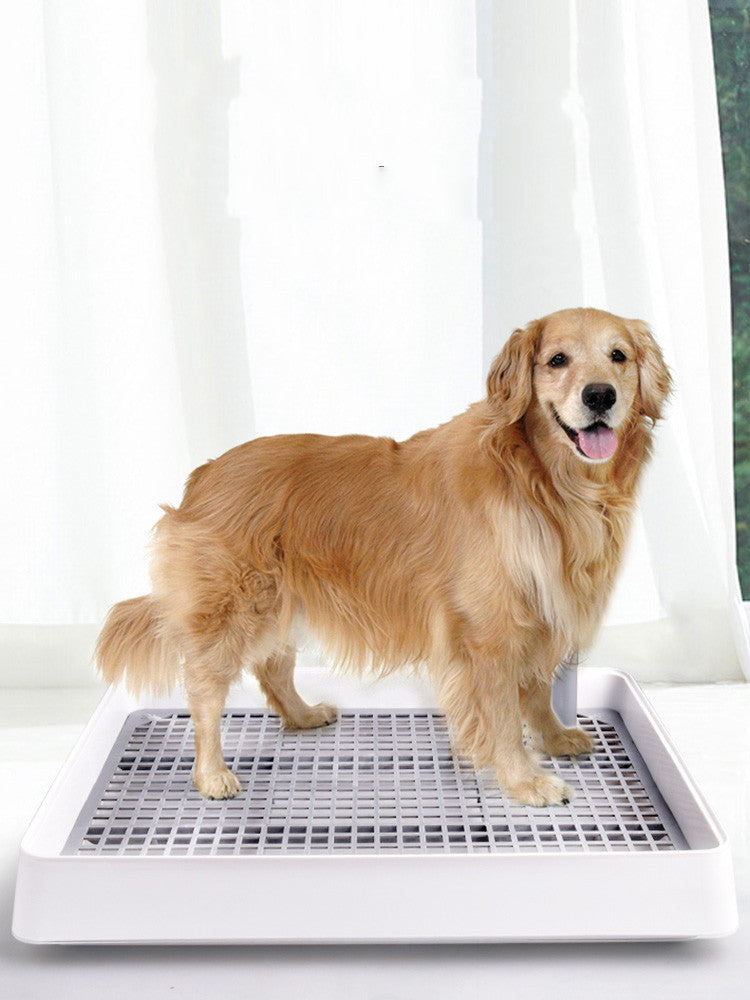 dog urinal