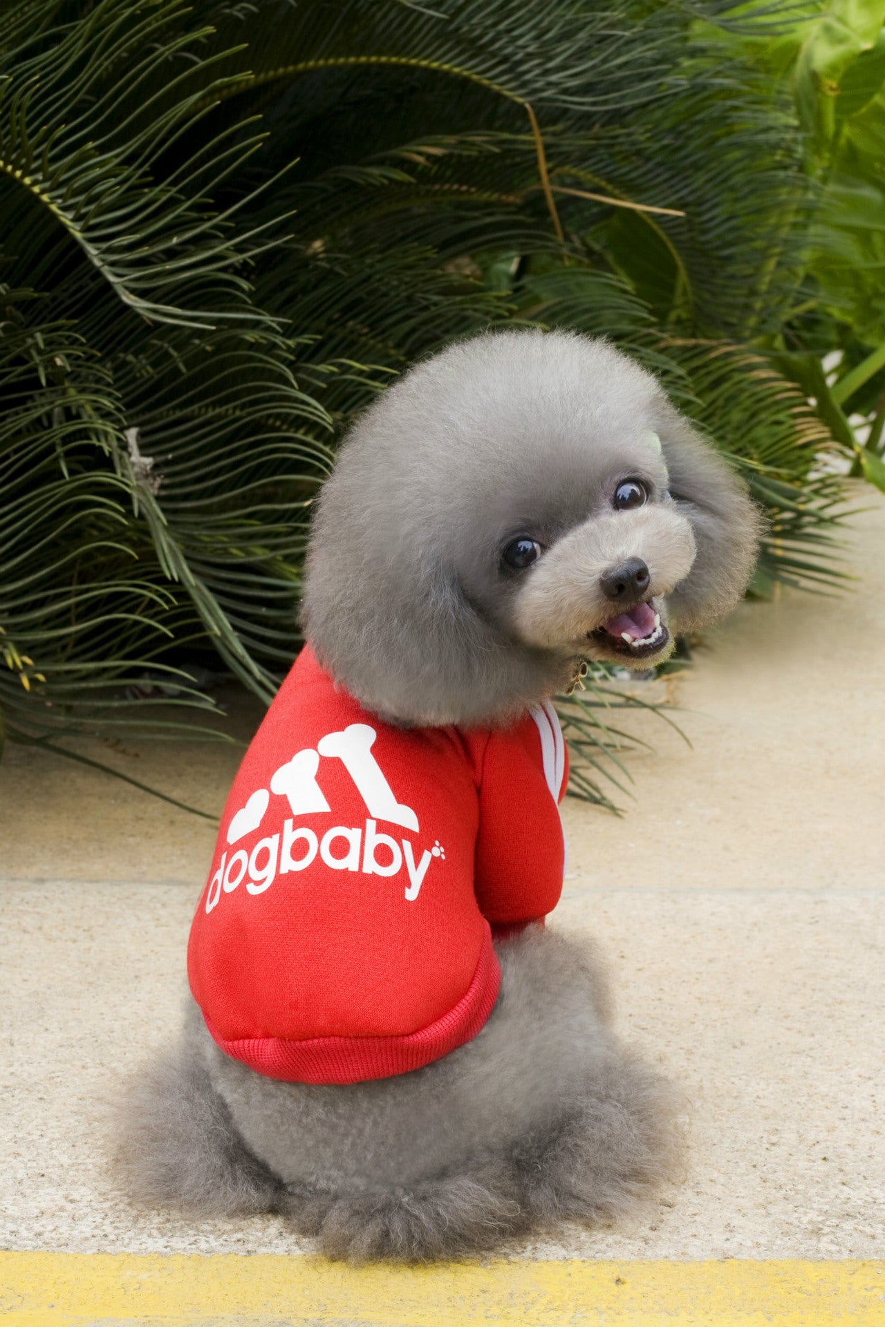 Fashion Dog Clothes For Small Dogs Puppy