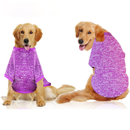 clothes for dog