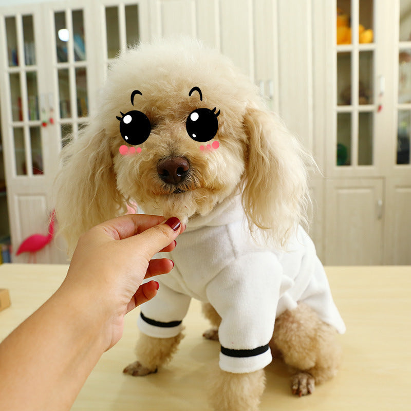 Dog Clothes