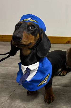 Dachshund Dog Halloween Suit