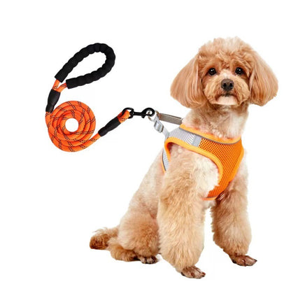 Dog Leash