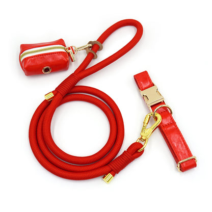 Dog Leash