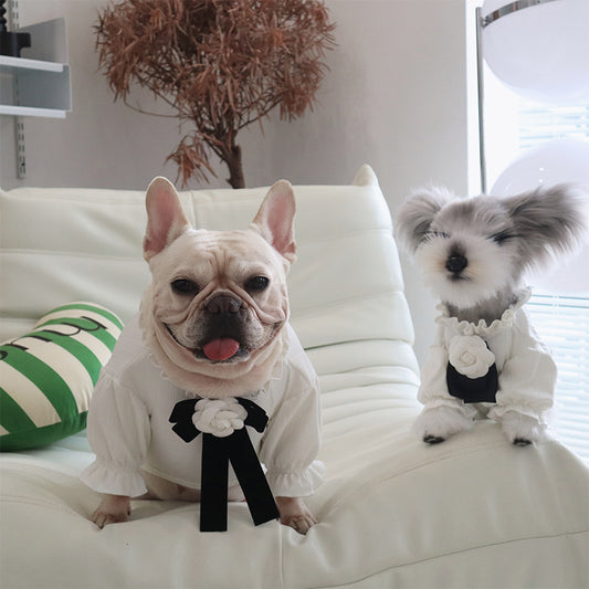 Dog Clothing