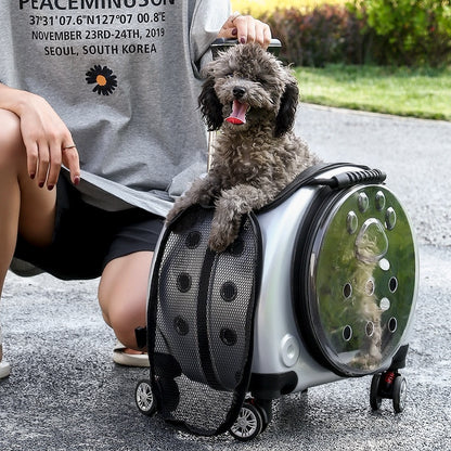 Dog Bag