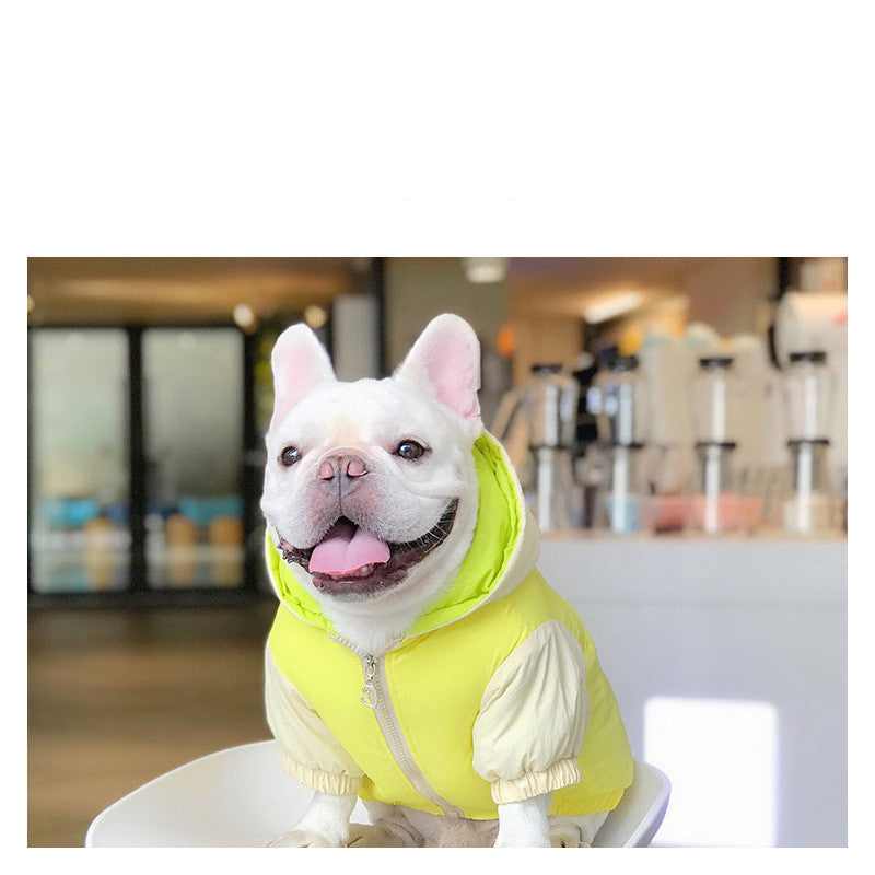 Dog Clothes