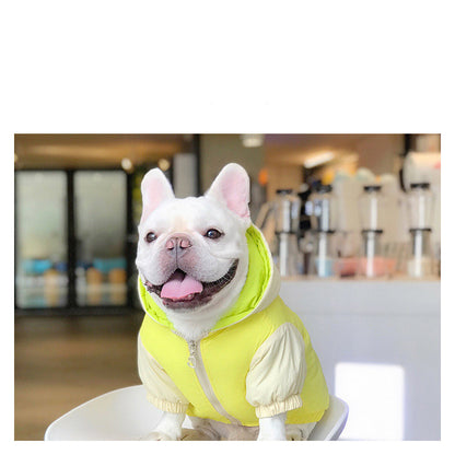 Dog Clothes