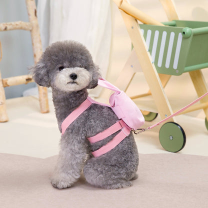 Dog Clothing