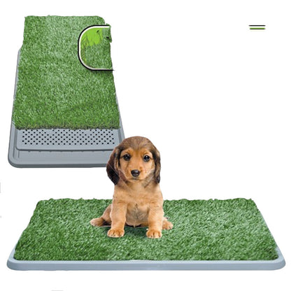 Dog Toilet