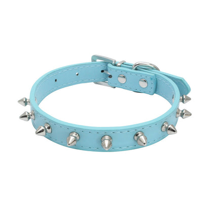 Dog Leash
