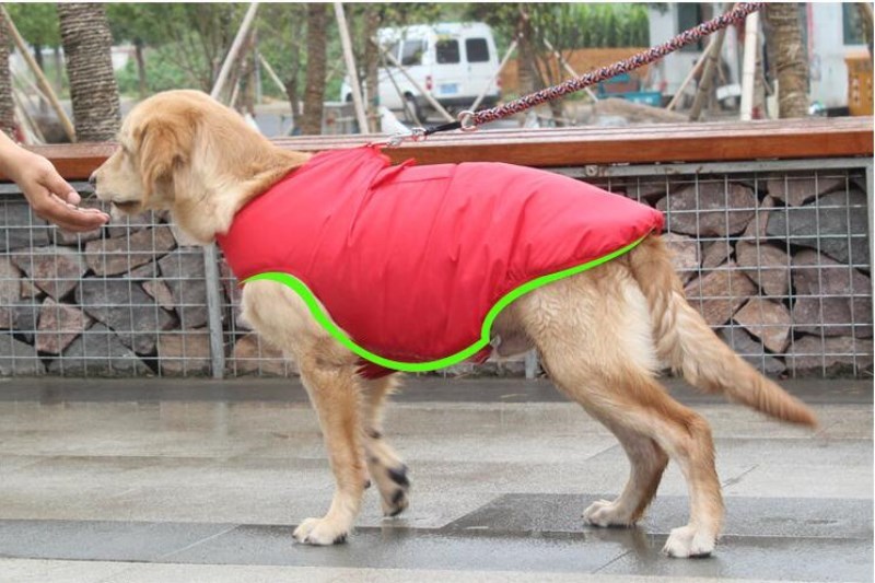 Winter Dog Clothes