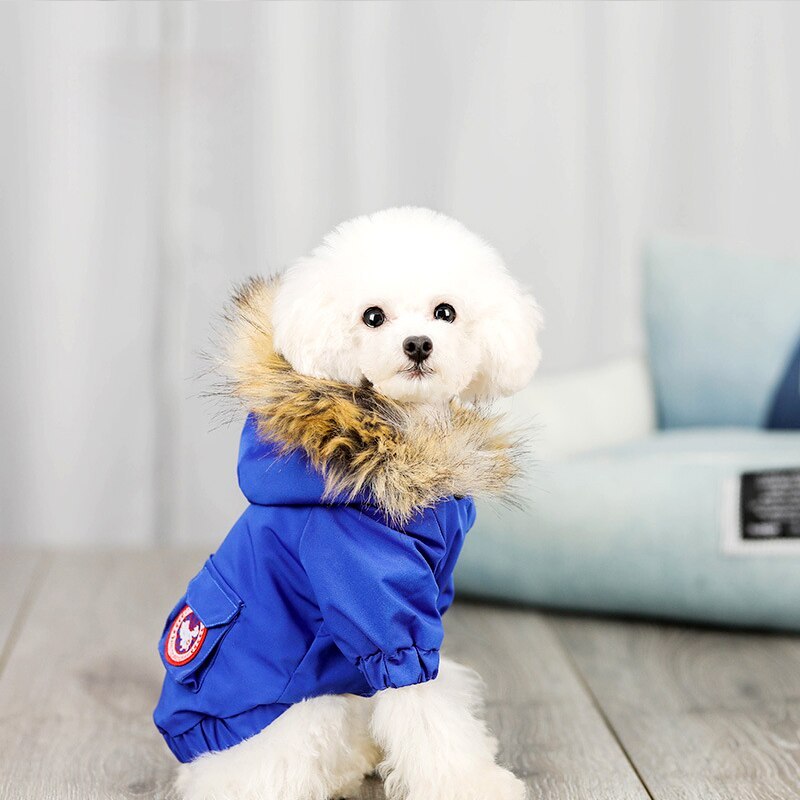 Dog clothes wool cotton
