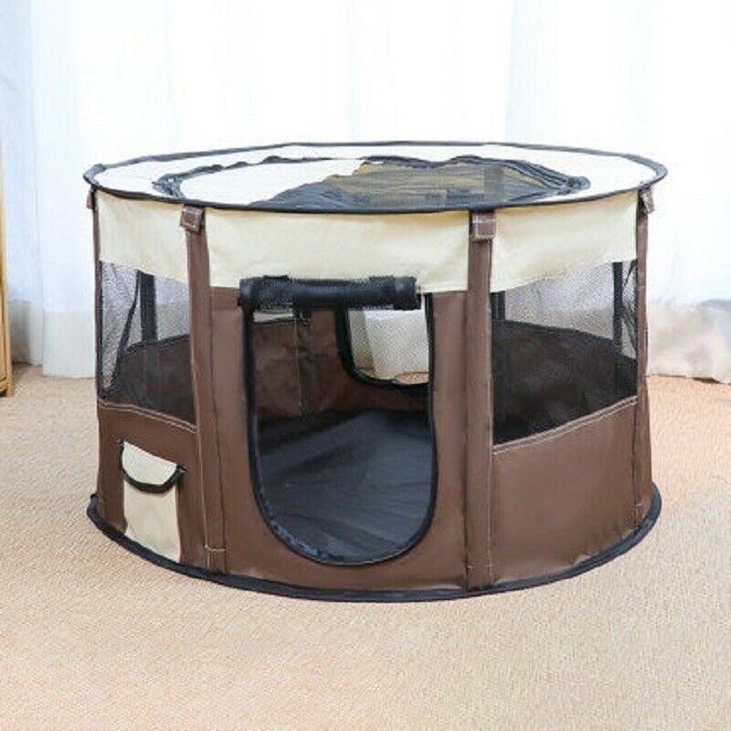 Dog House