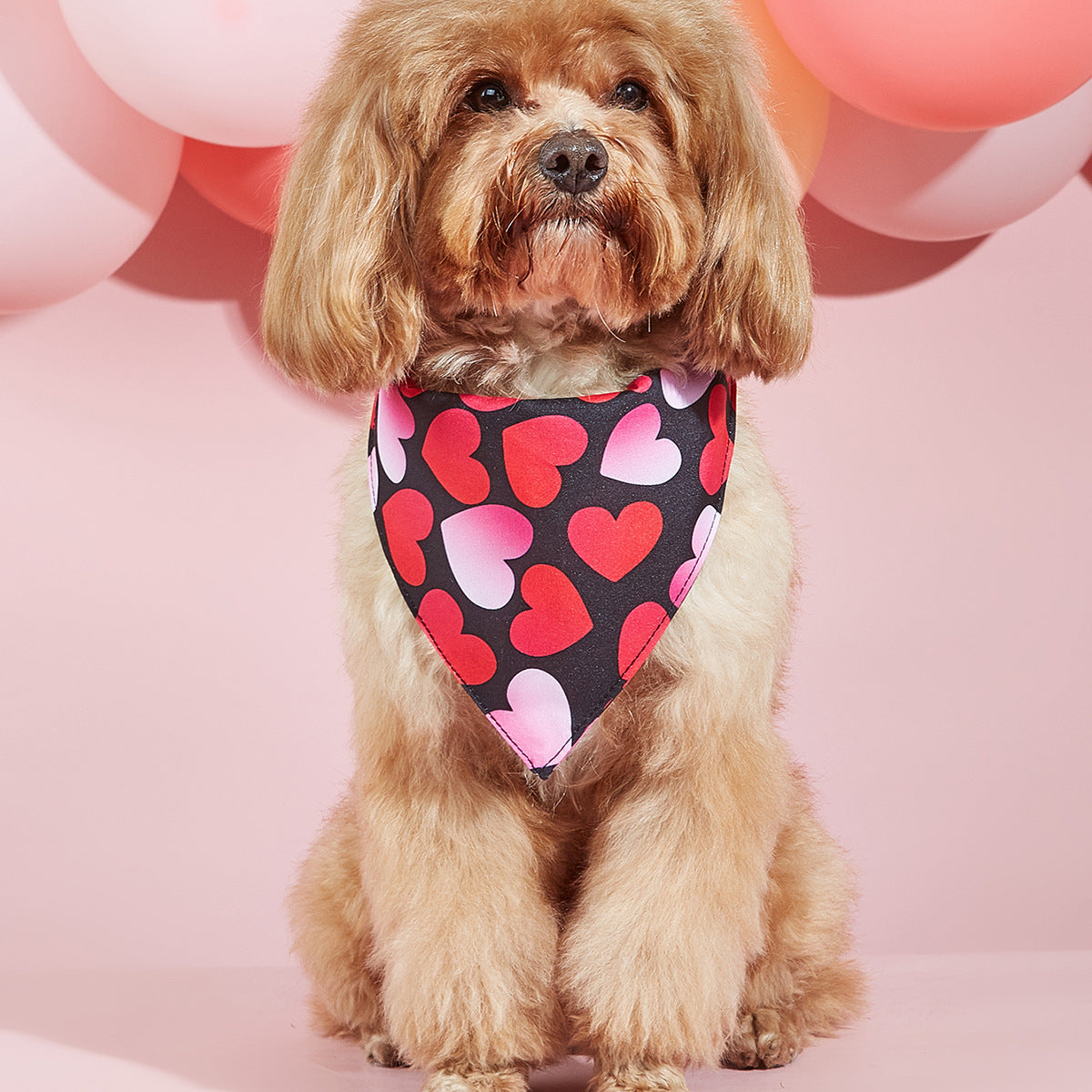 Dog Printing Scarf