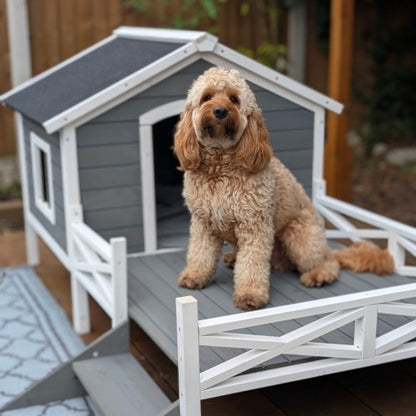 Dog House