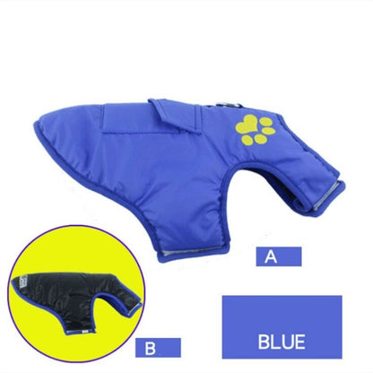 Winter Dog Clothes