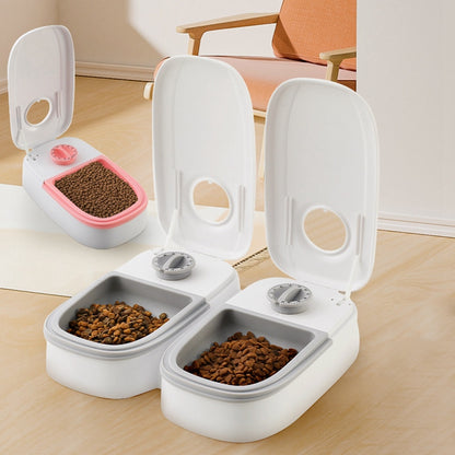 Dog Bowl