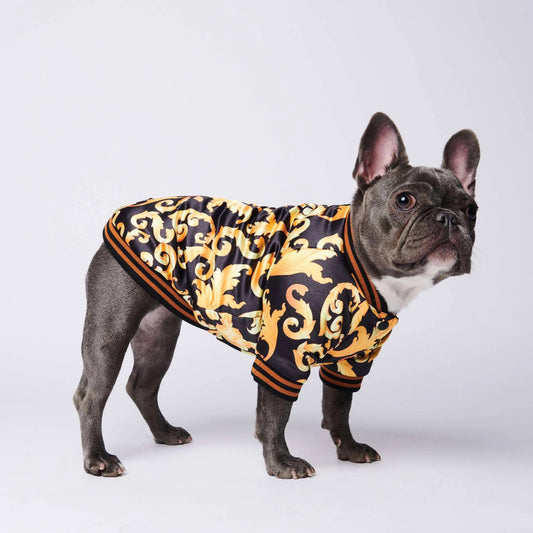 dog coat