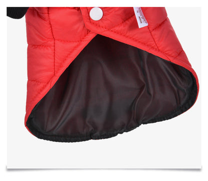 Dog clothes