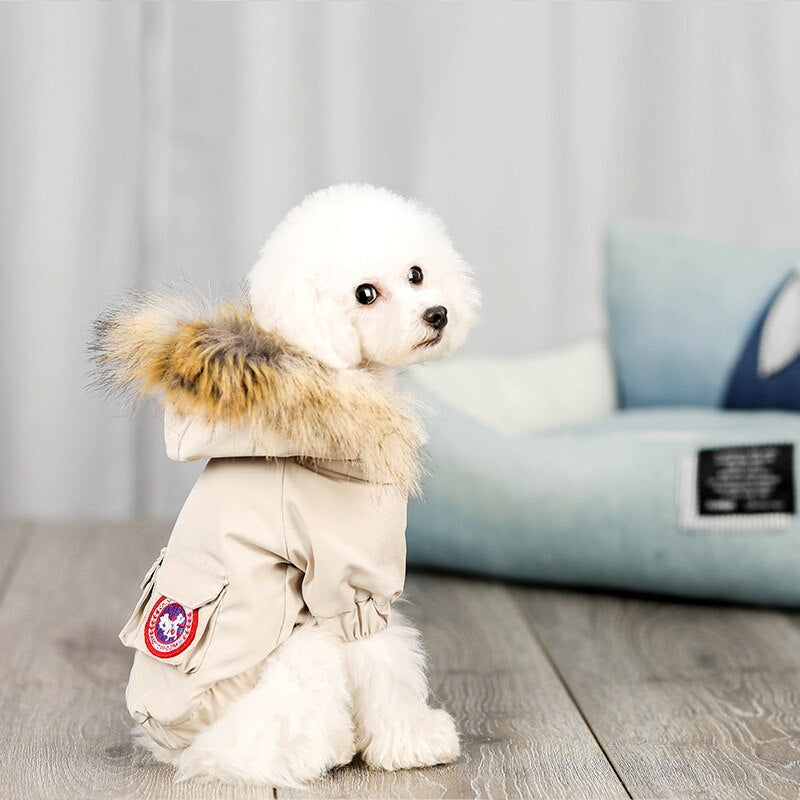 Dog clothes wool cotton