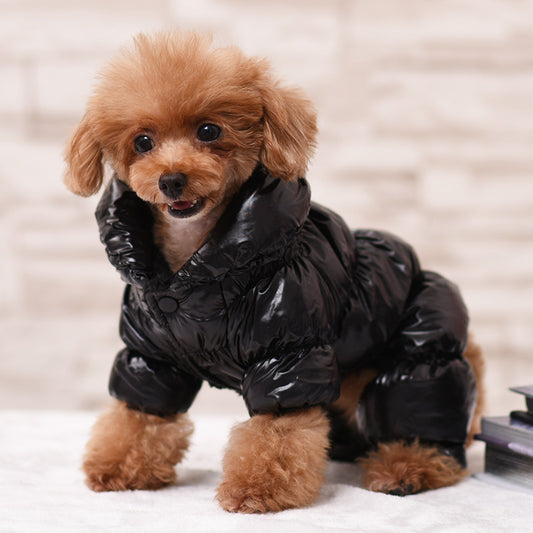Dog Clothes