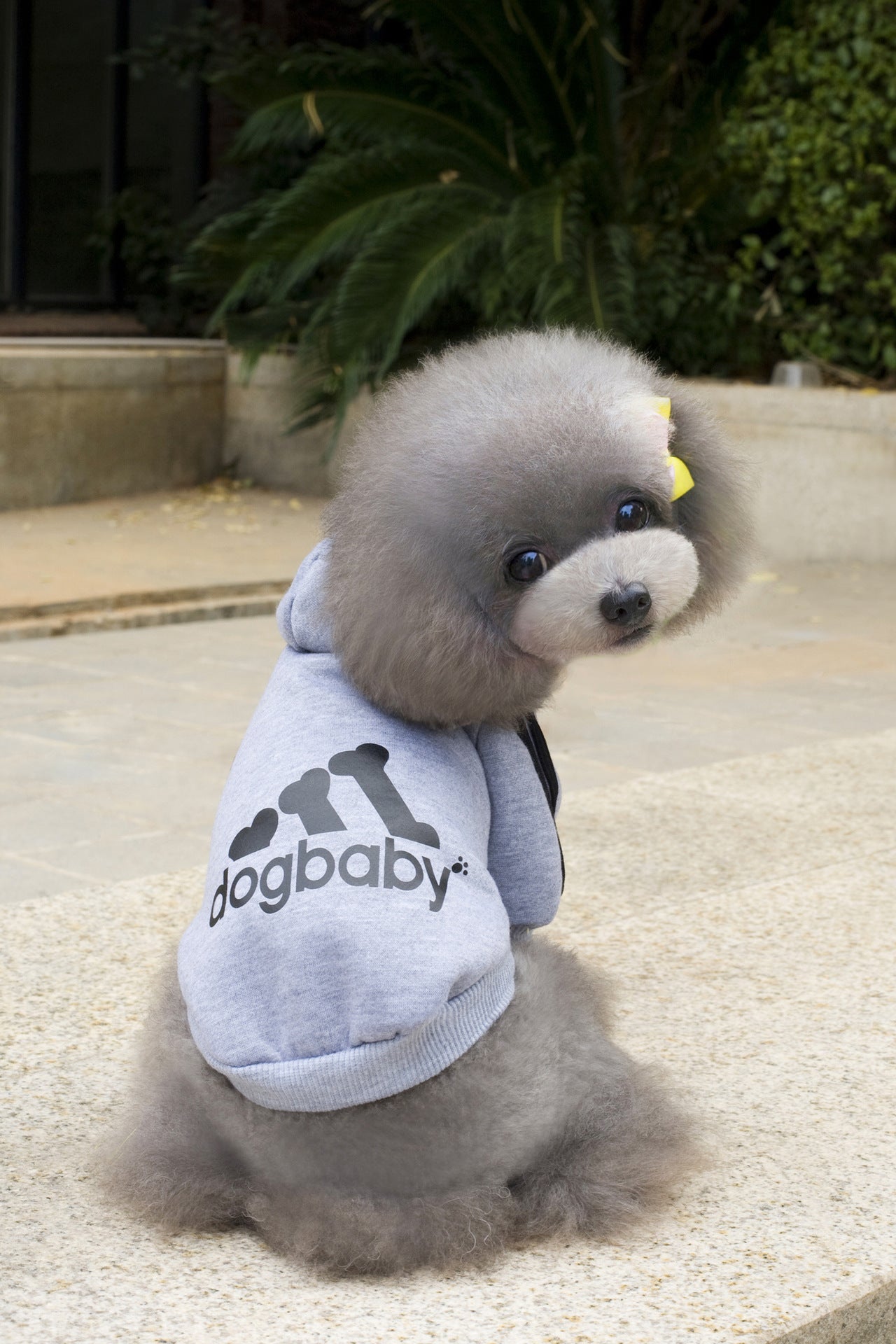 Fashion Dog Clothes For Small Dogs Puppy