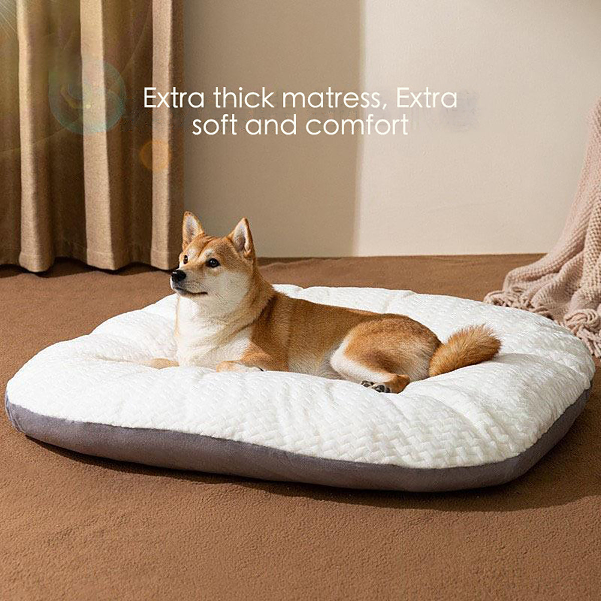 Dog Bed