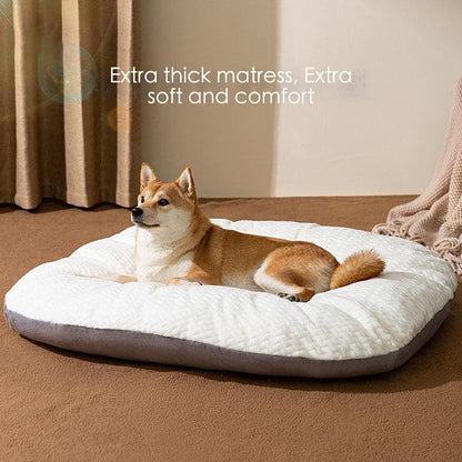 Dog Bed