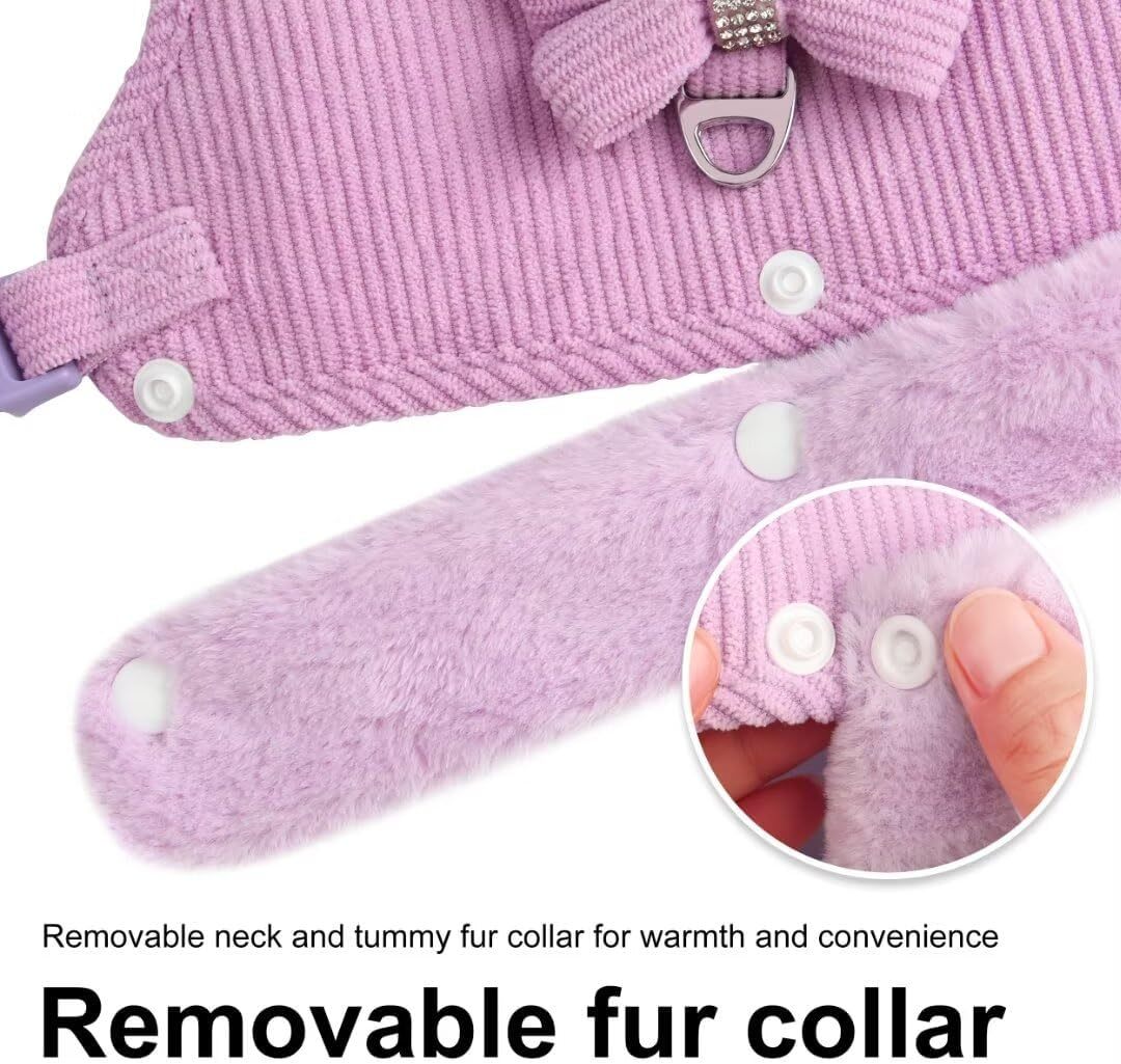 Dog Harness And Leash Set