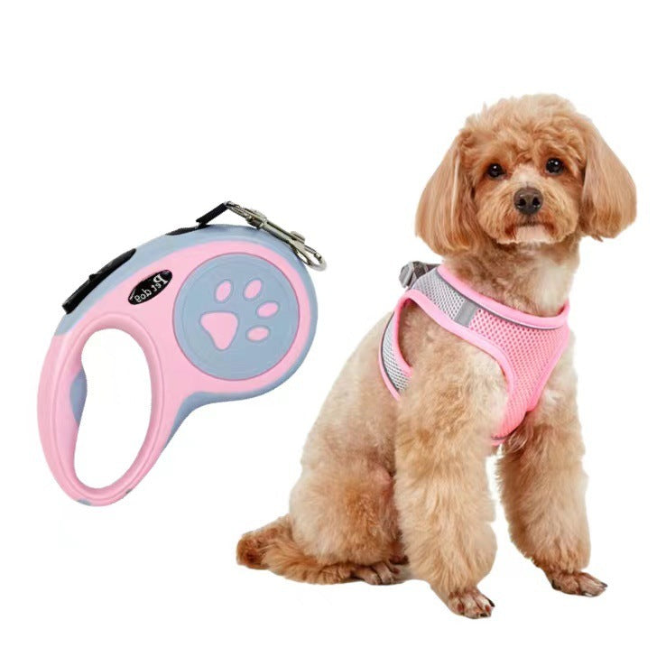 Dog Leash