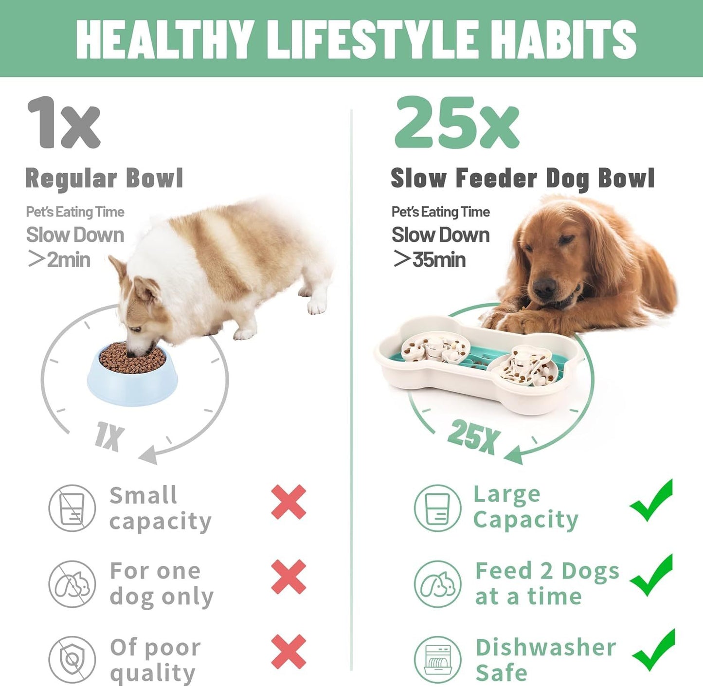 Dog Bowl