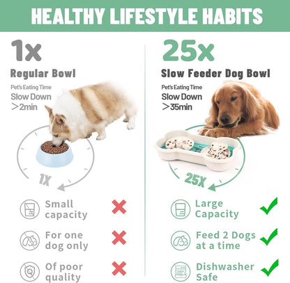 Dog Bowl